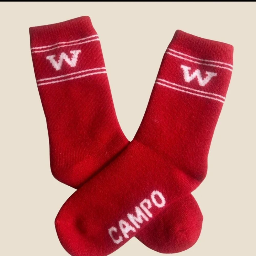 3193 W Crew Sock - Alpaca Socks